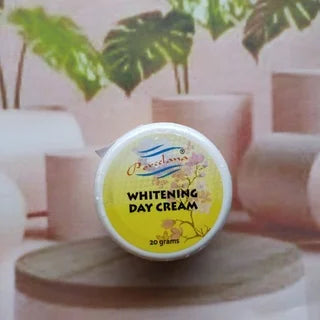 Porcelana Radiant Glow Whitening Day Cream – Dark Spot Corrector & Brightening Moisturizer